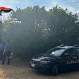 14 chili di hashish in mezzo ai campi: la segnalazione di un cittadino, il blitz dei carabinieri