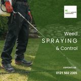 How weeds affect pavements, industry sites, parks and lawns