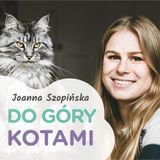 DGK 008: Jak pomagać kotom bezdomnym - Marta Walicka (Na ratunek bezdomniakom)