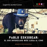 Pablo EskoBear: El oso intoxicado que llega al cine