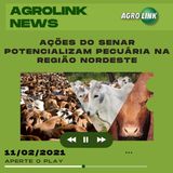 Agrolink News - Destaques do dia 11 de fevereiro