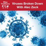 412: Viruses Broken Down