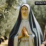 Gisella Cardia - Madonna di Trevignano: La Moltiplicazione delle Olive!