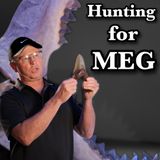 Hunting Megalodon teeth, an interview with Meg diver, John "JT" Taylor 🦈