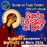  🔴 Rosario de hoy Martes 12 de Mayo 2026 🌹 MISTERIOS DOLOROSOS. Santorosariodeldía