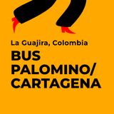 Viaggiare in bus da Palomino a Cartagena. Santa Marta, Colombia.