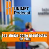Ep. 98 - Míercoles de ruta sostenible - Las abejas como arquitectas de vida con Ceneida Sánchez