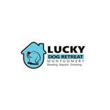 Why Professional Dog Grooming Montgomery Services Are Essential for Your Pet