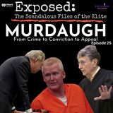 "Murdaugh" Episode Twenty Five | A New Trial?