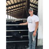 RFD Livestock Report 11-21-24 Fall update with Dave Lidy FS Total Livestock Services