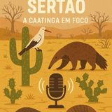 A caatinga em foco