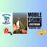 Lake Fly Fishing - Grapevine Lake from Shore! (Audio Podcast 42)