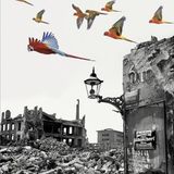 Matteo Cavezzali "I fratelli Meraviglia"