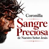 Destruye todo mal: Coronilla a la Preciosa Sangre de JESÚS 🩸
