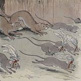 De muis en de wezels | Aesopus Fabels
