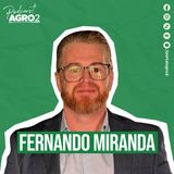 Como o conflito no Oriente Médio afeta o agro brasileiro? #453