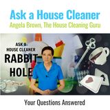 Ask a House Cleaner Rabbit Hole - Mailbag (Rapid Fire Answers You Can Use Today)