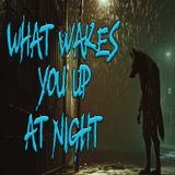 What Wakes You in the Night