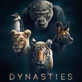 Mike Gunton From Dynasties On BBC America AMC IFC And Sundance