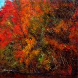 5. Macchia di Bracciano (Lazio)-Italy