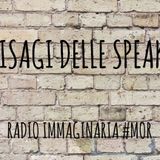 #mor I disagi delle speaker!