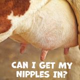 Can I Get My Nipples In?  |  Black Lincoln Collective Podcast