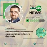 Paraná lidera crescimento nas exportações de carne de peru
