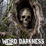 UNSOLVED: The Black Dahlia, Villisca, YOGTZE, And 13 More Killers Never Caught