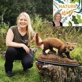 Episode 59 Ruth Hanniffy is protecting the Pine Martin