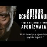 Arthur Schopenhauer - Yaşam Bilgeliği Üzerine Aforizmalar - Sesli Kitap (Son Kısım)