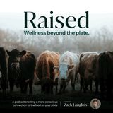 Dr. Shalini Bhat - Understanding Gut Health