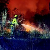 En Clave Rural: El campo exige frenar las leyes forestales restrictivas para poder prevenir los incendios