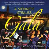 Maria Kessleman is part of the Viennese Strauss Gala
