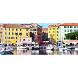 Savona «Terre d'Italia» di Cesare Brandi
