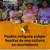 Pueblo indígena yukpa: huellas de una cultura en movimiento