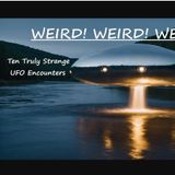 Weird! Weird! Weird! Ten Truly Strange UFO Encounters