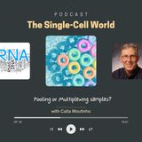 Ep. 18: Pooling or Multiplexing Samples?