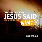 Jesus said what?! #6 [Morning Devo]