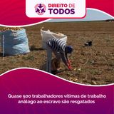 #132 - Direito de Todos