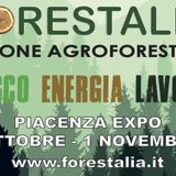 Ascolta la news: Forestalia 2021, salone agroforestale, a Piacenza dal 30 ottobre all'1 novembre