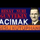 Acımak - Reşat Nuri Güntekin [Sesli Kitap]