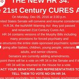 EMERGENCY SENATE Vote on Amendment to HR 34 is Near: Ideas for Legislators
