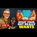 Your Gut Wants More Than a Quick Fix | Fermented Foods Explained