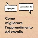 Migliorare l'apprendimento del cavallo