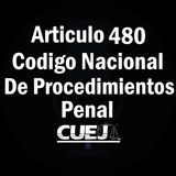 Articulo 480 Código Nacional de Procedimientos Penal