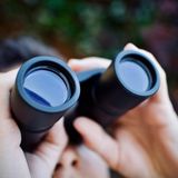 Transformational Leadership: Projects Principle -  Focus