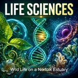 Wild Life on a Norfolk Estuary - Arthur Henry Patterson - Part 2