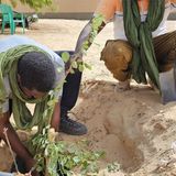Plantation d’arbres, œufs de consommation et pratiques agricoles au cœur de l’émission