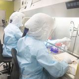 The Daily with Dermot Murnaghan: Can authorities curb spread of coronavirus?