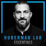 Essentials: The Biology of Slowing & Reversing Aging | Dr. David Sinclair